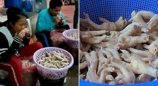 На тайской фабрике рабочие обрабатывали курицу зубами (5 фото)