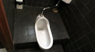 Китайцы создали туалет «Криштиану Роналду» и искусственную грудь «Бекхэм» (1 фото + 1 видео)