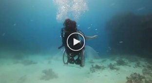 Подводное плавание на инвалидном кресле