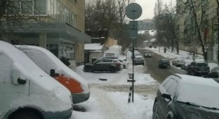 ТОП-9 советов водителям во время снежного апокалипсиса