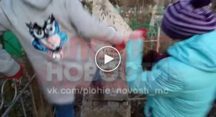 Дети из городка Щигры Курской области ради лайков в соцсетях разгромили местный погост (мат)