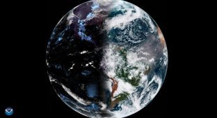 Потрясающий снимок Земли из космоса, показывающий идеальное разделение планеты на день и ночь (3 фото)