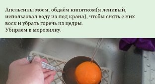 Рецепт апельсинового десерта (15 фото)