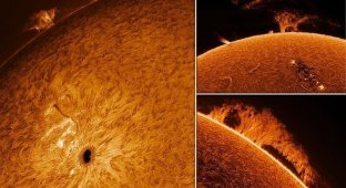 Пенсионер увлекся астрофотографией и сделал потрясающие снимки Солнца (11 фото)