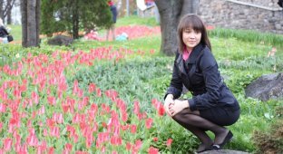В Киев пришла весна и начинают цвести тюльпаны (33 фото)
