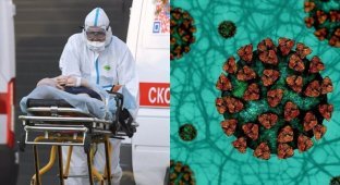 Мэр Москвы Собянин об индийском штамме коронавируса: "Привитые и переболевшие ранее тоже могут заразиться" (6 фото)