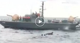 Военнослужащие ВМС Шри-Ланки спасли унесенного в море слона