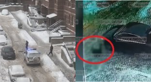 Житель Петербурга выпал из окна на проходившую мимо девочку (4 фото + 1 видео)