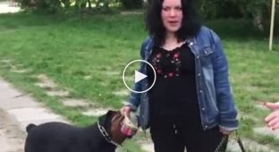 Неадекватная женщина решила погулять со своей собакой без намордника возле детской площадки (мат)