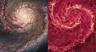 9 самых причудливых галактик во Вселенной (9 фото)