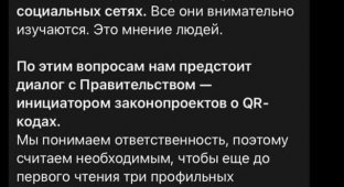 Вячеслав Володин написал пост про QR-коды и в комментариях началась настоящая революция (8 фото)