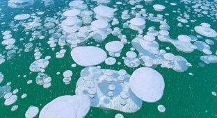 Фантастическое явление: ледяные пузыри на озере Нукабира (7 фото)