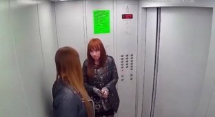 Дознаватель полиции и сотрудница суда напились и раскрасили лифт (5 фото + видео)