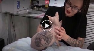 Татуированный кот стал «вором в законе»