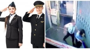 Опубликовано видео драки пилота и стюардессы в салоне самолета (2 фото)