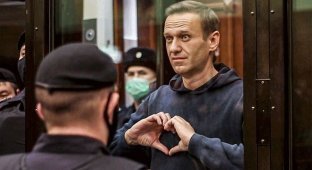 "Не руководствовался принципами гуманизма" - Навального отправили в колонию (4 фото + 1 видео)