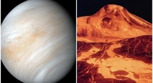 Ученые обнаружили на Венере потенциальные следы жизни (4 фото)