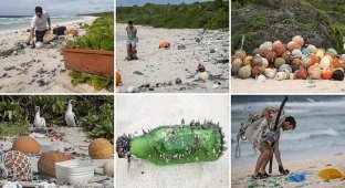 Необитаемый остров пал жертвой пластикового мусора (9 фото)
