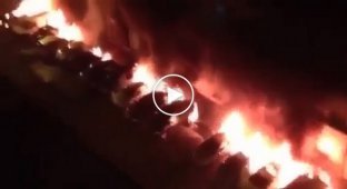 Мигранты для мести, подпалили 26 дорогих иномарок на парковке. Франция