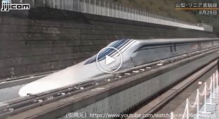 Самый быстрый японский поезд развивает скорость в 600 км в час