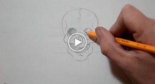 Как нарисовать человеческий череп карандашом