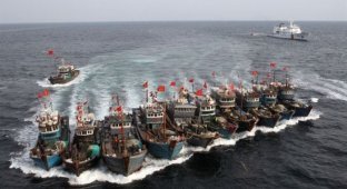 Китайские браконьеры уходят от береговой охраны (4 фото)