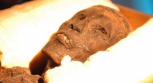 Анализ ДНК египетских мумий. Оказалось, что древние египтяне совсем не из Африки (6 фото)