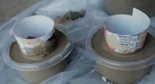 Что можно сделать из пустых стаканчиков от йогурта в цементе (11 фото)