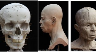 Восставший из мертвых: археологи воссоздали голову древнего человека в гипсе (8 фото + 1 видео)