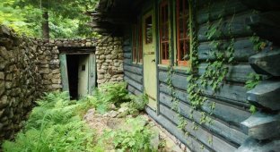 Необычный заброшенный дом в лесу (46 фото)