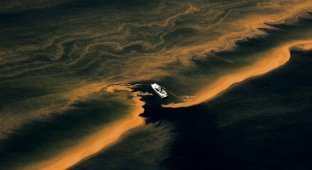 Авария в Мексиканском заливе (20 фотографии)