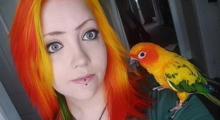 Австралийка покрасила волосы в цвет своего попугая, и это может стать трендом (11 фото)