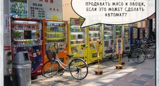 Япония - страна торговых автоматов (31 фото)