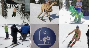 Самые смешные фотографии с лыжных склонов (16 фото)