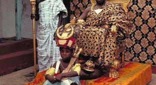 Короли Африки (17 фотографий)