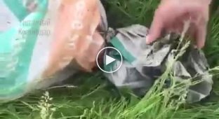 Рыбаки спасли собаку, оставленную кем-то в мешке с камнями на свалке