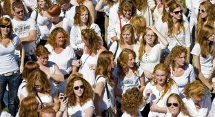 Фестиваль рыжих в Голландии (10 фото)