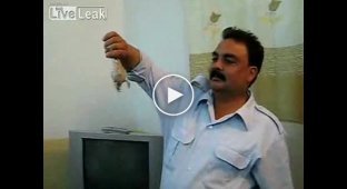 В Ираке полиция кушает живую жабу, жесть..