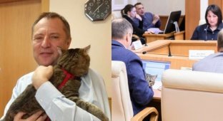 Депутат пришел на заседание Заксобрания с котом (7 фото + 1 видео)