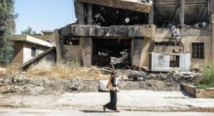 Житель Мосула пытается восстановить библиотеку, сожженную боевиками ИГ (16 фото)