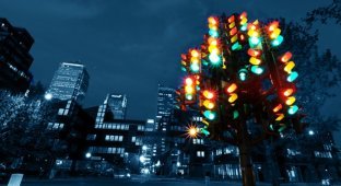 15 странных светофоров мира