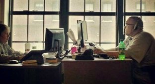 Почему работа в офисе является опасной для здоровья (21 фото)