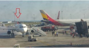 В турецком аэропорту корейский Аirbus A330 случайно снес другому самолету хвост (5 фото + 1 видео)