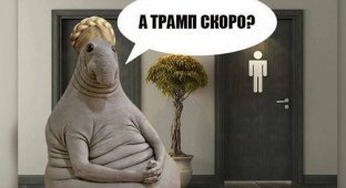Переговоры Трампа и Тимошенко возле туалета