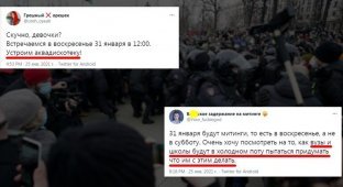 "31 января снова пойдут гулять?": реакция соцсетей на планируемый митинг оппозиции (15 фото)