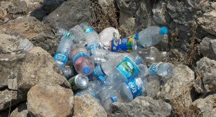 Вот почему нельзя повторно использовать пластиковую бутылку для воды, даже если вы ее помыли. Жуть! (4 фото)