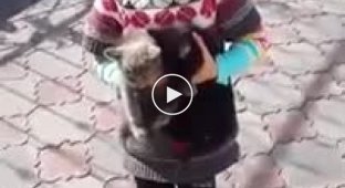 Девочка просит оставить котёнка