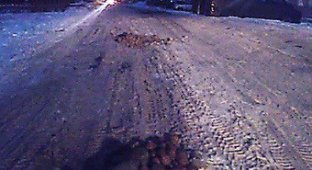 Жители Омска придумали радикальный способ борьбы с ямами (2 фото)