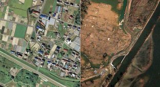 Снимки со спутника: До и после землетрясения в Японии (42 фото)