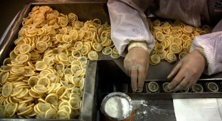 Производство презервативов в Китае (10 фото)